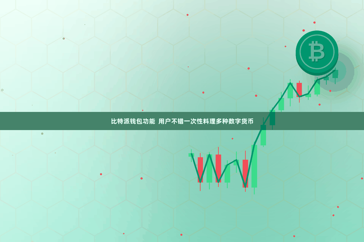 比特派钱包功能  用户不错一次性料理多种数字货币